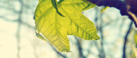 温暖的ddos网页版