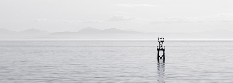 批发价直充的网页DDOS攻击平台