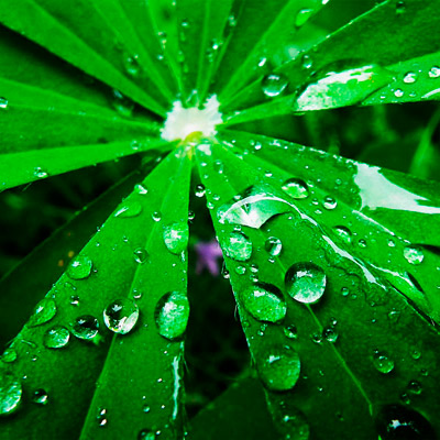 免费ddos在线攻击