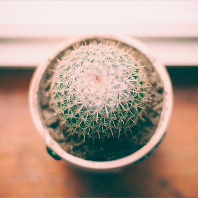 不用破解直装的ddos网页版